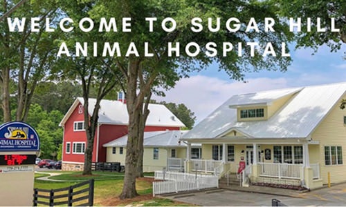 Sugar Hill Animal Hospital exterior